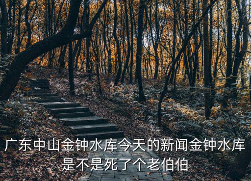 中山市新聞，中山各個地方這幾天有什么新聞