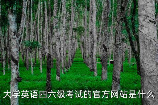 英語四六級官網，英語四六級網上報名的官網是什么