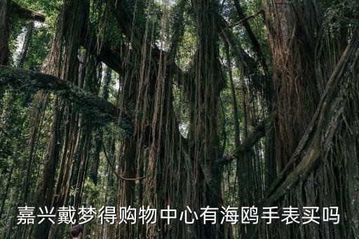 嘉興戴夢得購物中心有海鷗手表買嗎