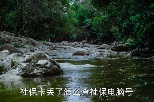 社保電腦號怎么查詢，社?？▉G了掛失需電腦號怎么查電腦號