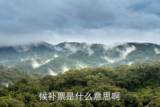 候補(bǔ)票是什么意思啊