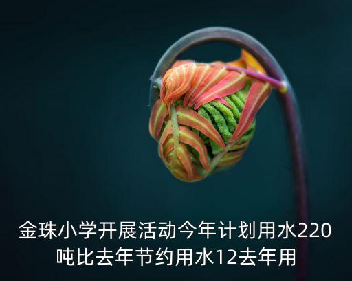金珠小學，金珠小學開展活動今年計劃用水220噸比去年節約用水12去年用