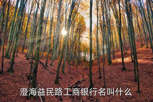 益民路，濮陽(yáng)益民路怎么樣