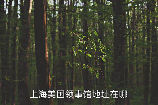 上海美領(lǐng)館，美國駐上?？傤I(lǐng)事館簽證處在什么地方