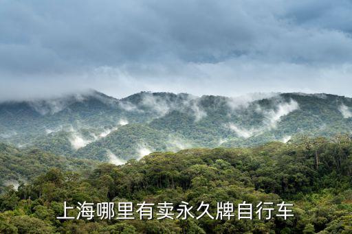上海永久自行車，上海哪里有賣永久牌自行車