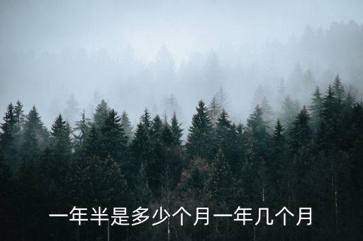 一年半是多少個月一年幾個月