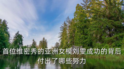 劉雯維密秀，這是維多利亞的秘密第幾年的秀劉雯出場在第幾分鐘