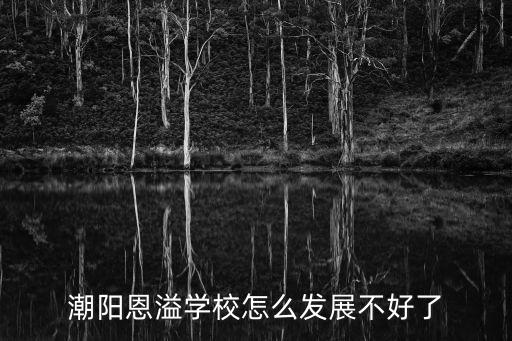 潮陽恩溢學校怎么發展不好了
