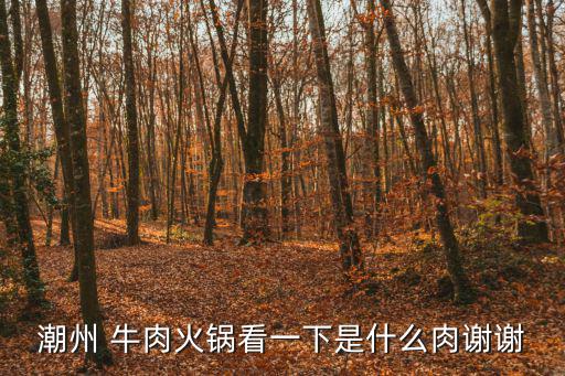 潮州 牛肉火鍋看一下是什么肉謝謝