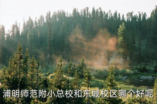 浦明師范附小總校和東城校區哪個好呢