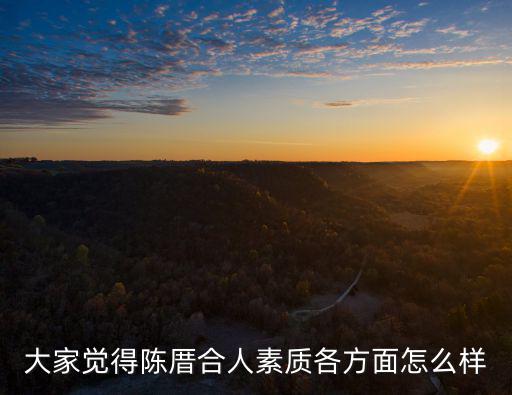 大家覺得陳厝合人素質(zhì)各方面怎么樣