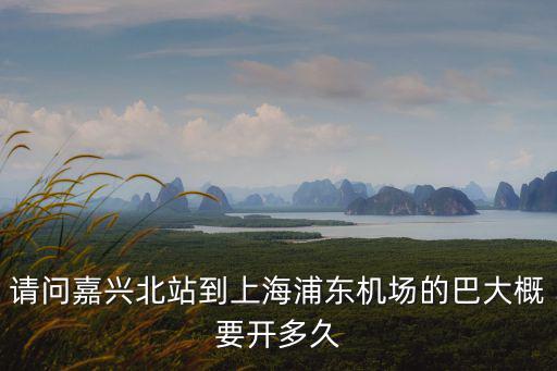 請問嘉興北站到上海浦東機場的巴大概要開多久