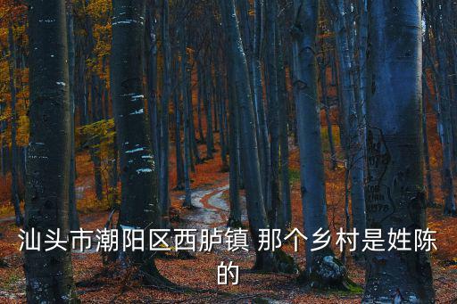 西臚鎮，汕頭市潮陽區西臚鎮 那個鄉村是姓陳的