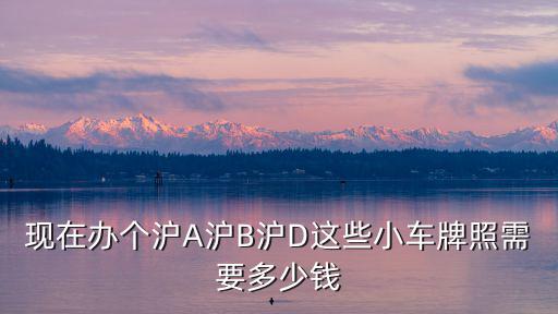 現在辦個滬A滬B滬D這些小車牌照需要多少錢