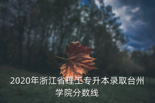 臺州學院專升本，臺州學院專升本成功的幾率高嗎問的是裝潢藝術設計的
