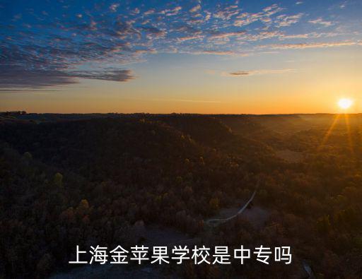 上海金蘋果學校是中專嗎