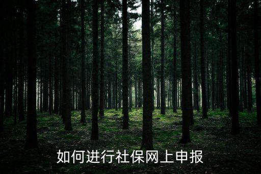 網上辦理社保，社保可以網上辦嗎