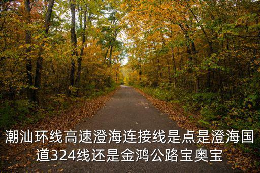 潮汕環線高速，潮汕環線高速澄海連接線是點是澄海國道324線還是金鴻公路寶奧寶