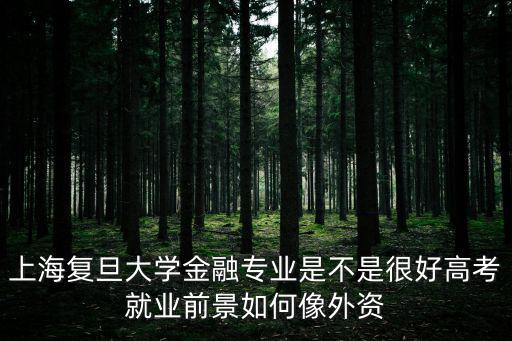 上海復(fù)旦大學(xué)金融專業(yè)是不是很好高考就業(yè)前景如何像外資