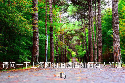 請(qǐng)問(wèn)一下上海阿納迪酒店如何有人知道嗎