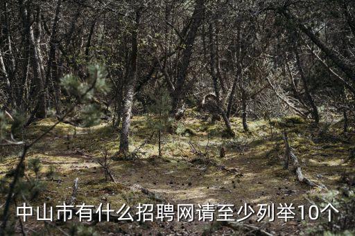 中山市有什么招聘網請至少列舉10個
