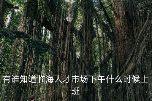 有誰知道臨海人才市場下午什么時候上班