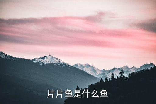 片片魚，烏江片片魚是什么魚