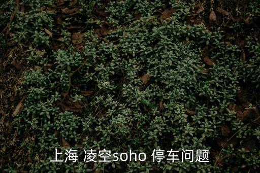 上海 凌空soho 停車問題