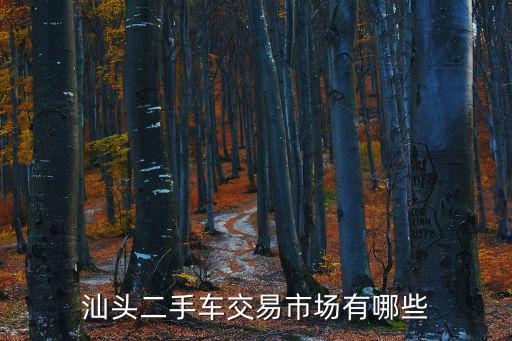汕頭二手車交易市場(chǎng)有哪些