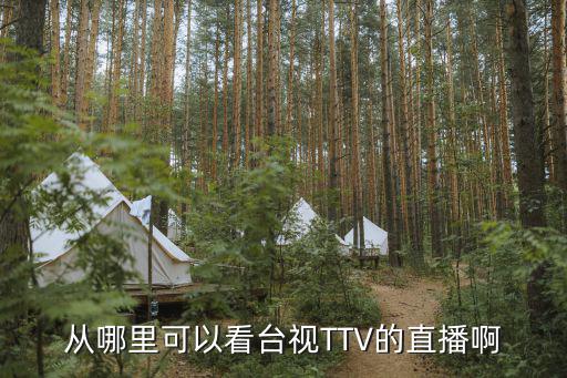 從哪里可以看臺視TTV的直播啊