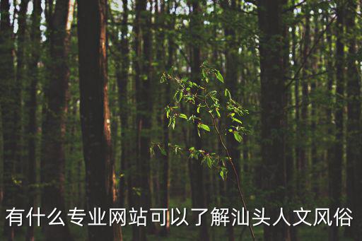 汕頭網頁，汕頭英華網站