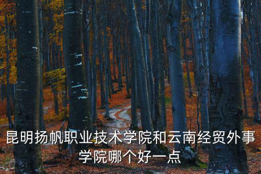 昆明揚(yáng)帆職業(yè)技術(shù)學(xué)院和云南經(jīng)貿(mào)外事學(xué)院哪個(gè)好一點(diǎn)
