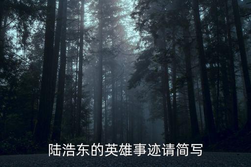陸浩東的英雄事跡請簡寫