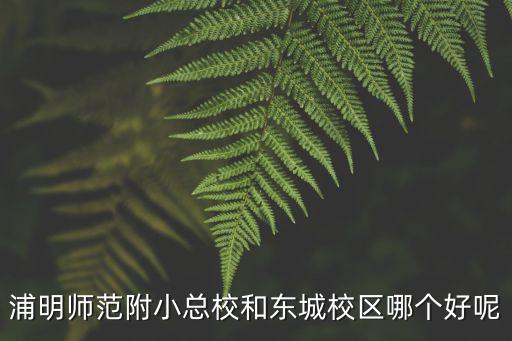浦明師范附屬小學，上海浦明師范附屬小學好不好