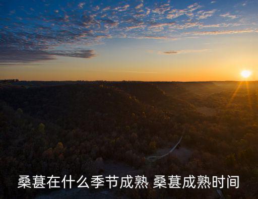 桑葚的季節，桑葚什么季節