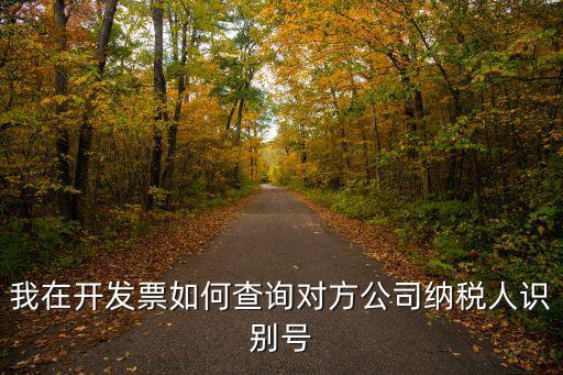 我在開發(fā)票如何查詢對(duì)方公司納稅人識(shí)別號(hào)