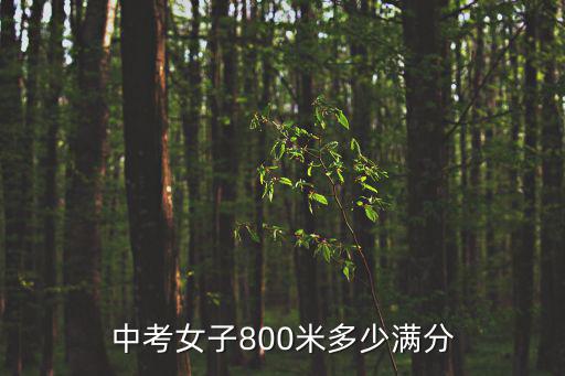 中考女子800米多少滿分