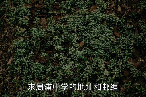 求周浦中學(xué)的地址和郵編