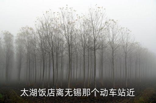 無錫太湖飯店，無錫哪家飯店太湖三白比較好