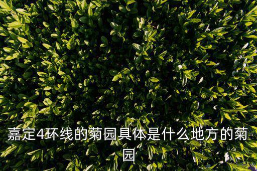 嘉定4環線的菊園具體是什么地方的菊園