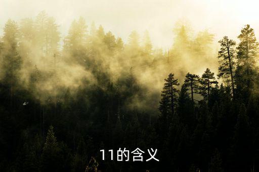 11的含義