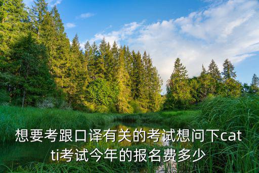 想要考跟口譯有關(guān)的考試想問下catti考試今年的報名費多少