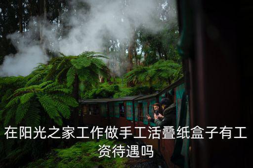 在陽光之家工作做手工活疊紙盒子有工資待遇嗎