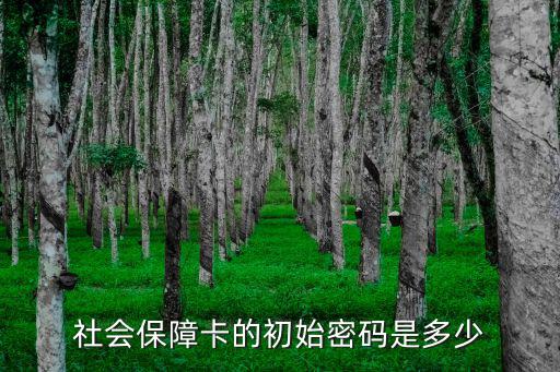 社會(huì)保障卡的初始密碼是多少