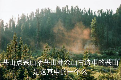 括蒼山，蒼山點蒼山括蒼山莽滄山古詩中的蒼山是這其中的一個么