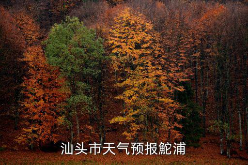 汕頭市天氣預(yù)報(bào)鮀浦
