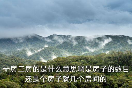 二房，一房二房的是什么意思啊是房子的數目還是個房子就幾個房間的