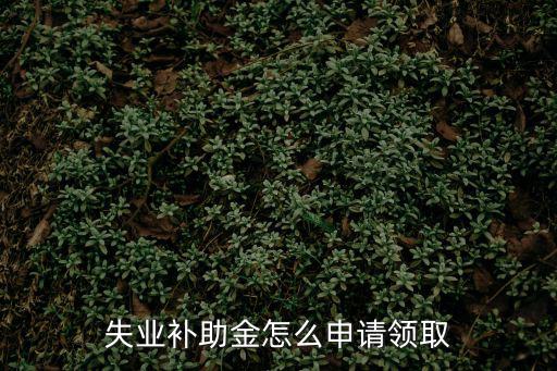 失業(yè)補助金怎么申請領取，失業(yè)補助金怎么申請