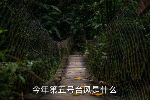 臺風(fēng)5號，今年第五號臺風(fēng)是什么