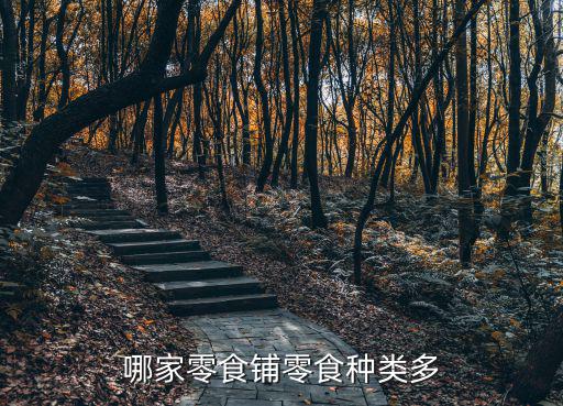 哪家零食鋪零食種類多